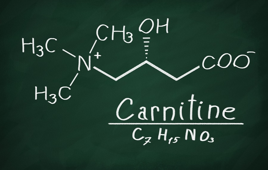 The carnitine controversy