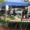 Love Your Local Fare