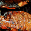 Carcinogens and Cooking