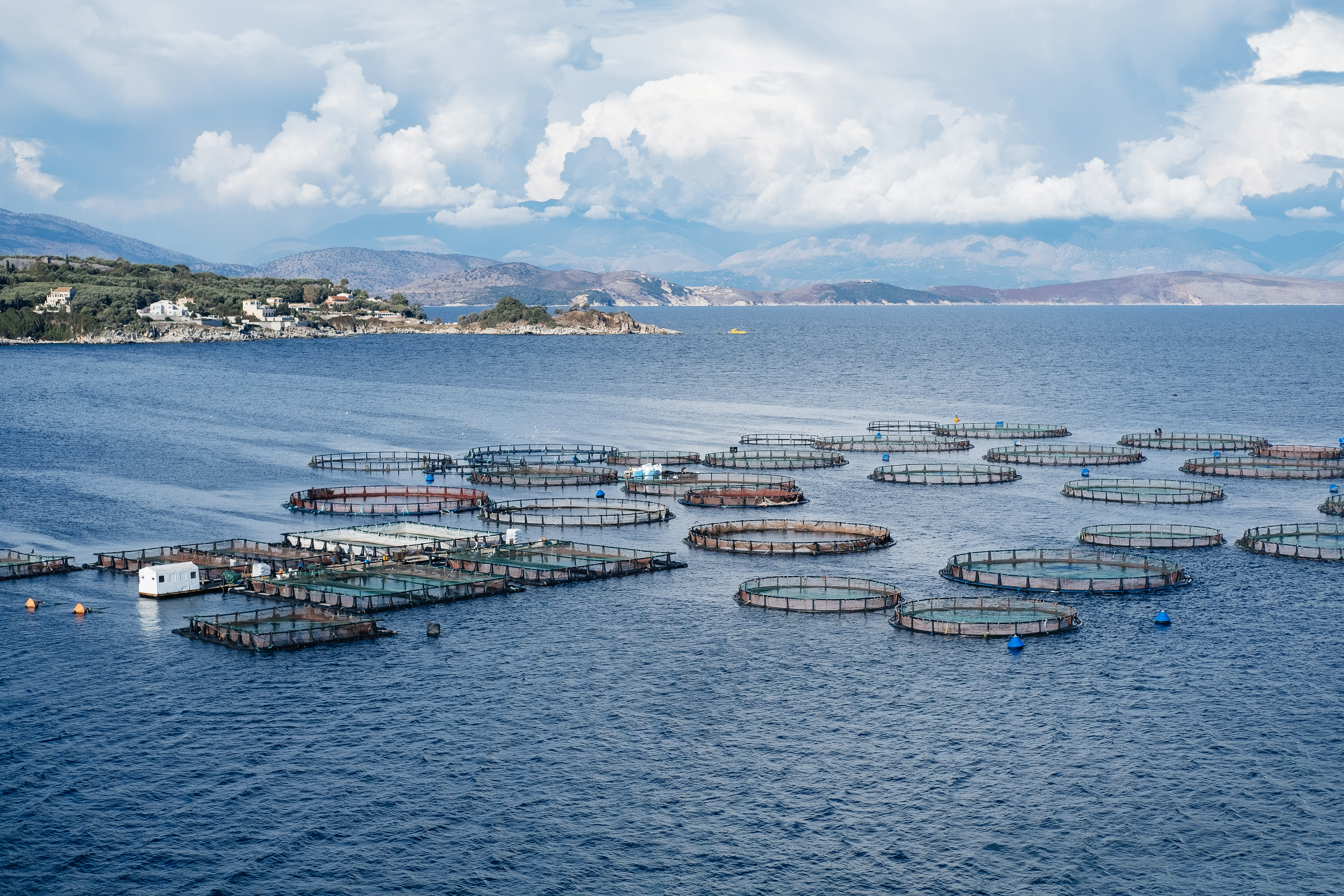 Fish farming